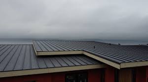 Best Metal Roofing Installation  in Seven Corners, VA